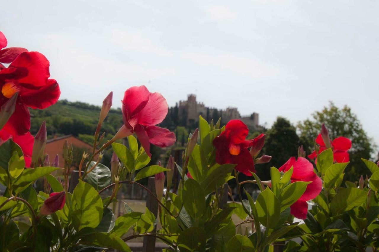 Hotel La Finestra Sul Castello Soave  Exterior foto